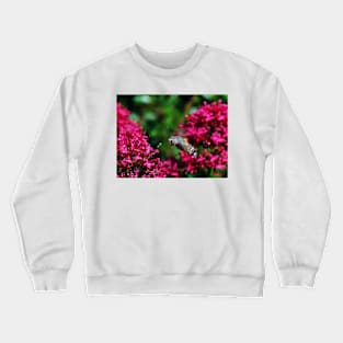 THE PANASONIC FZ 200 PAR OKAIO CREATION Crewneck Sweatshirt